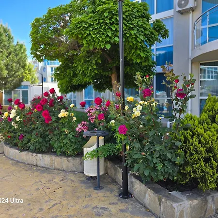 Primavera Atlantis * Μπουργκάς