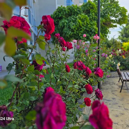 Lägenhet Primavera Atlantis *