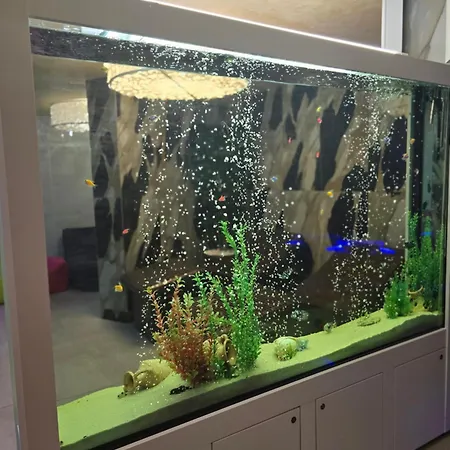 Primavera Atlantis Burgas