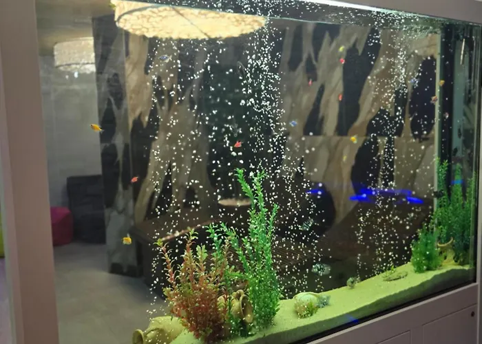 Primavera Atlantis 布尔加斯